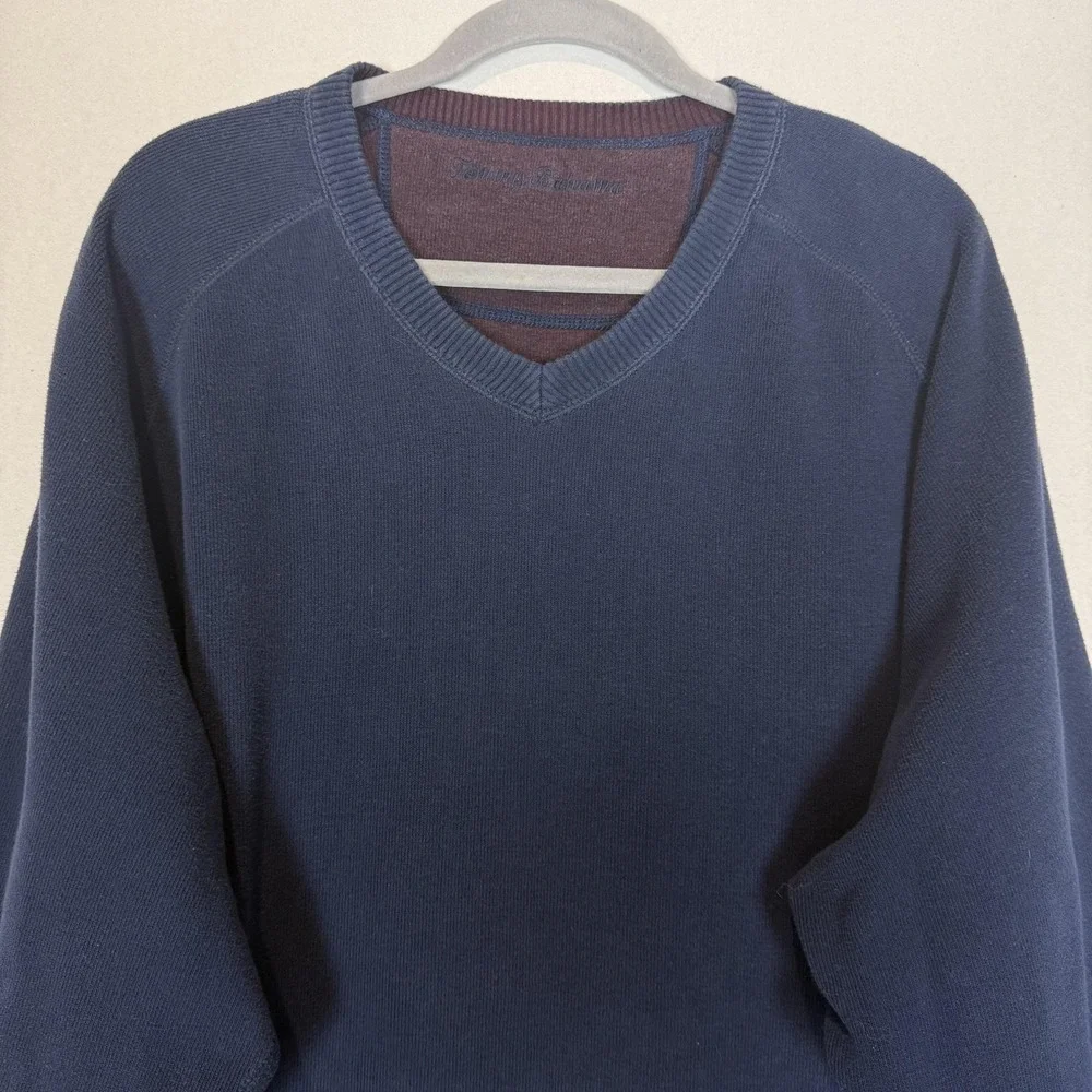 Tommy Bahama Sweater Men L Blue Purple V Neck Knit Pullover Soft Cozy Reversible